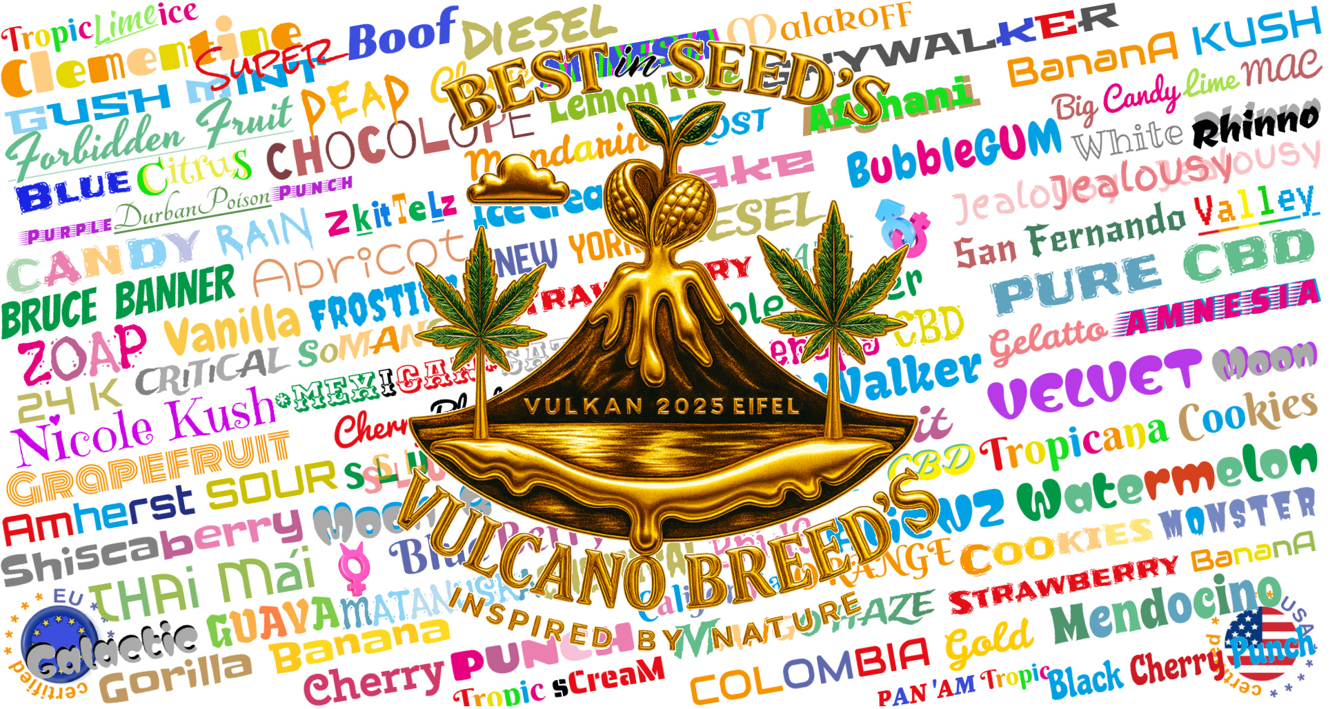 Willkommen bei Vulcano Breed's